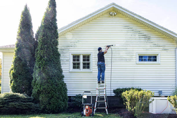 Professional Pressure Washing in Cockeysville, MD